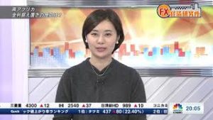 11月27日放送 『FX経済研究所』（南アフリカ金利据え置きの理由は？）日経CNBC