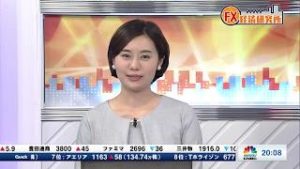 11月11日放送 『FX経済研究所』（投機の買いと実需の売り）日経CNBC