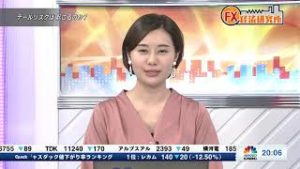 11月19日放送 『FX経済研究所』（テールリスクは起こるのか?）日経CNBC