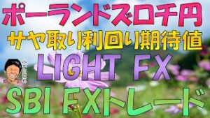 SBI FXトレードにポーランドズロチ円が追加されたので利回り期待値をLIGHT FXと比較してみた