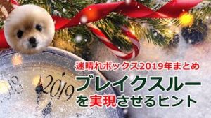 【迷ボ2019まとめ】ブレイクスルーを実現させるヒント