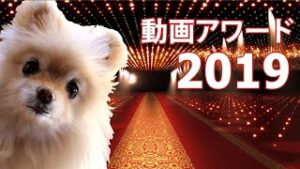 迷晴れ動画アワード2019