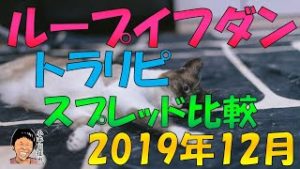 ループイフダン トラリピ スプレッド(&通貨ペア数)比較 2019年12月