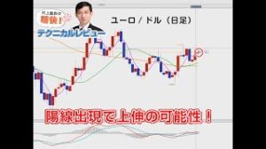 ＦＸ「ドル/円よりユーロ/円の上昇に期待？／ポンドは買いでも難しい局面に／ユーロ/ドルは陽線が出れば上伸の可能性あり！」【明快！テクニカルレビュー2019/12/11】