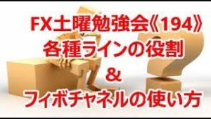FX土曜勉強会《194》各種ラインの役割&フィボチャネルの使い方