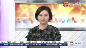 12⽉25⽇放送『FX経済研究所』（まだまだ安心できないブレグジット）日経CNBC
