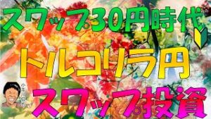 スワップ30円&38円版 30万円から始める FX トルコリラ円 スワップポイント投資 利回り期待値など