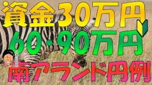 FX 30万円から始める南アフリカランド円スワップ投資 60万円・90万円例 利回り期待値など