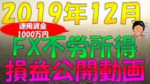 資金1000万円 2019年12月のFX不労所得(リピート系FX＆メキシコペソ円・南アランド円＆ズロチ円)スワップ投資の損益