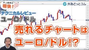 ＦＸ「ユーロ/ドル実体線が長期線を下回る＆MACDが0ライン割れで売れるチャートに！？上ヒゲ対策でゆったり目に構えるのが良いか」【明快！テクニカルレビュー2020/01/22】