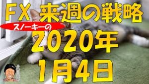中東地政学リスクの影響は？ スノーキー小手川征也の来週のFX戦略 2020年1月4日