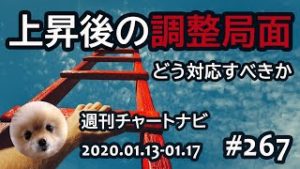 【週ナビ#267】上昇後の調整局面にどう対応すべきか