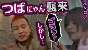 全一・つばにゃん襲来、しかし【ふわっち】