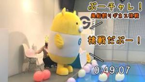ぶーチャレ！「どっとこぶーが風船割りギネス世界記録にチャレンジ！？」