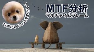 【応用編】マルチタイムフレーム分析（MTF分析）の手引き。