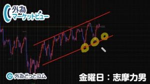 ＦＸ「直近のドル/円とGPIFの次の一手を考察」【外為マーケットビュー】2020/2/14（金）志摩力男