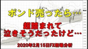 ポンド売ったら踏まれて苦しかったトレード履歴話等（2020年2月15FX相場分析）