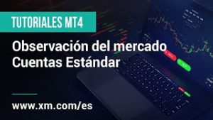 XM.COM – Tutoriales MT4 – Observación del mercado / Cuentas Estándar