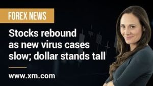 Forex News: 19/02/2020 – Stocks rebound as new virus cases slow; dollar stands tall