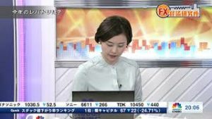2月28日放送 『FX経済研究所』（今年のレパトリは？）日経CNBC
