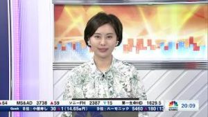 2月20日放送 『FX経済研究所』（円安ドル高はどこまで進むのか?）日経CNBC