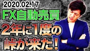 【FX自動売買】2年に1度の峠が来た！現在の状況とこれからの対策【スマホ利益報告 2020.02.17】