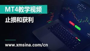 XM.COM – MT4教学视频 – 止损和获利