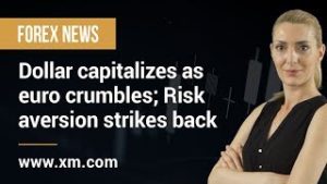 Forex News: 13/02/2020 – Dollar capitalizes as euro crumbles; Risk aversion strikes back