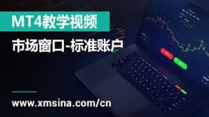 XM.COM – MT4教学视频 – 市场窗口-标准账户