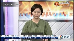 2月25日放送 『FX経済研究所』（3つのフォーメーション）日経CNBC