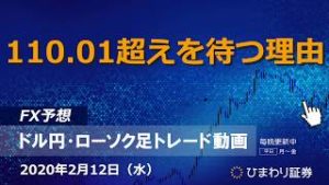 110.01を待つ理由【200212ドル円・ローソク足トレード動画】FX予想