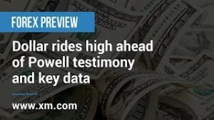 Forex Preview: 11/02/2020 – Dollar rides high ahead of Powell testimony and key data