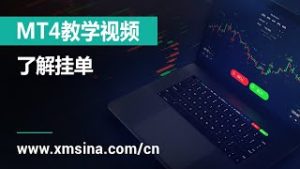 XM.COM – MT4教学视频 -了解挂单