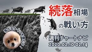 【週ナビ#271】続落相場の戦い方。