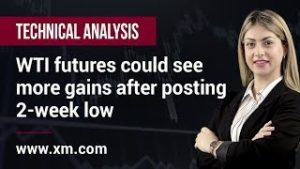Technical Analysis: 25/02/2020 – WTI futures could see more gains after posting 2-week low