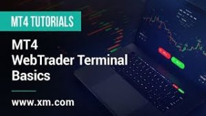 XM.COM – MT4 Tutorials – MT4 WebTrader Terminal