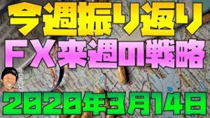 サーキットブレーカーが何度も発動 スノーキー(小手川征也)の今週の株・為替材料振り返り 来週のFX戦略 2020年3月14日