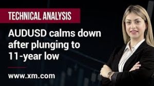 Technical Analysis: 11/03/2020 – AUDUSD calms down after plunging to 11-year low