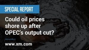 Special report: 05/03/2020 – Could oil prices shore up after OPEC’s output cut?