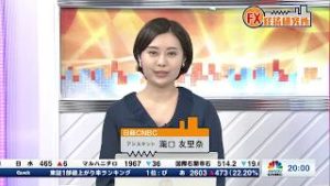 3月19日放送 『FX経済研究所』（リーマンショックの安値を更新した豪ドル）日経CNBC