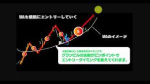 Phoenix Trend FX（脇田輝明）ロジックとツールは…簡単に勝てる内容なのか？？