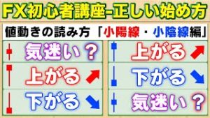 【FX初心者講座】値動き読み方-小陽線・小陰線編【正しい始め方#10】