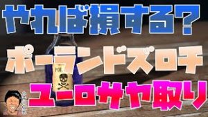 【今やれば損をする？】ポーランドズロチ円とユーロ円のサヤ取り戦略 2020年3月末