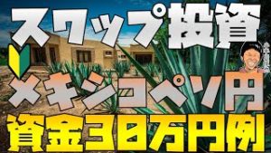 円高版 FX 30万円で始める メキシコペソ円スワップ投資例 利回り期待値など 2020年3月