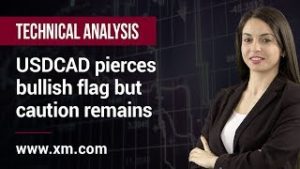 Technical Analysis: 16/04/2020 – USDCAD pierces bullish flag but caution remains