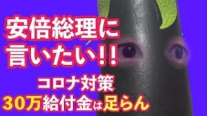 安倍総理に言いたい！！コロナ対策！　３０万給付金では足りません！