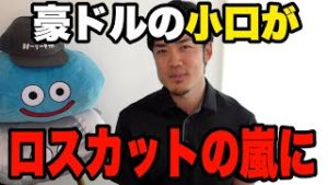 FX豪ドルの小口が売りポジMAXでロスカット大損の嵐が！