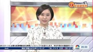 4月7日放送 『FX経済研究所』（“信仰”国通貨は神頼み？）日経CNBC