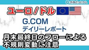 ＦＸテキスト動画【ユーロ/ドル】「月末最終日のフローによる不規則変動に注意」G.comデイリーレポート 2020/4/30