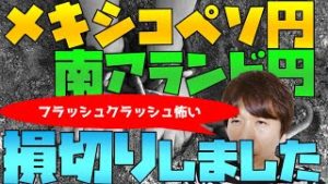 2020年ゴールデンウィークの新興国通貨のフラッシュクラッシュが怖いので南アフリカランド円とメキシコペソ円損切りしました